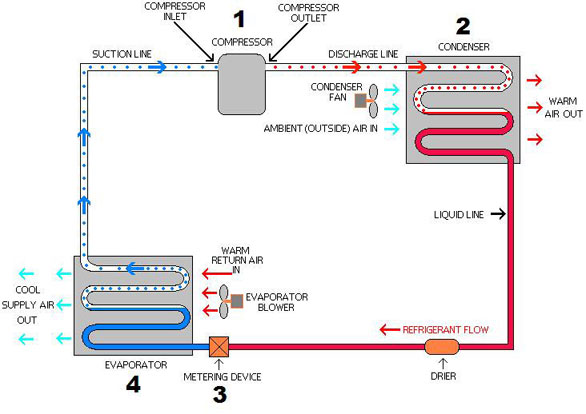 ammonia system